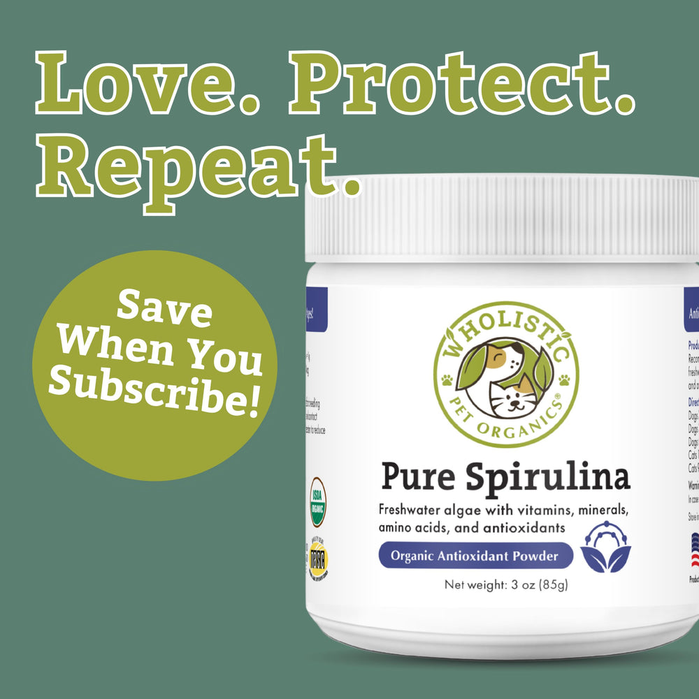 Polvo espirulina Wholistic para apoyo inmunológico suave en mascotas.