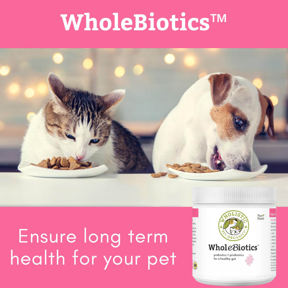 Wholistic Pet Organics WholeBiotics, uso-con-dieta-casera, compatible con comidas caseras.