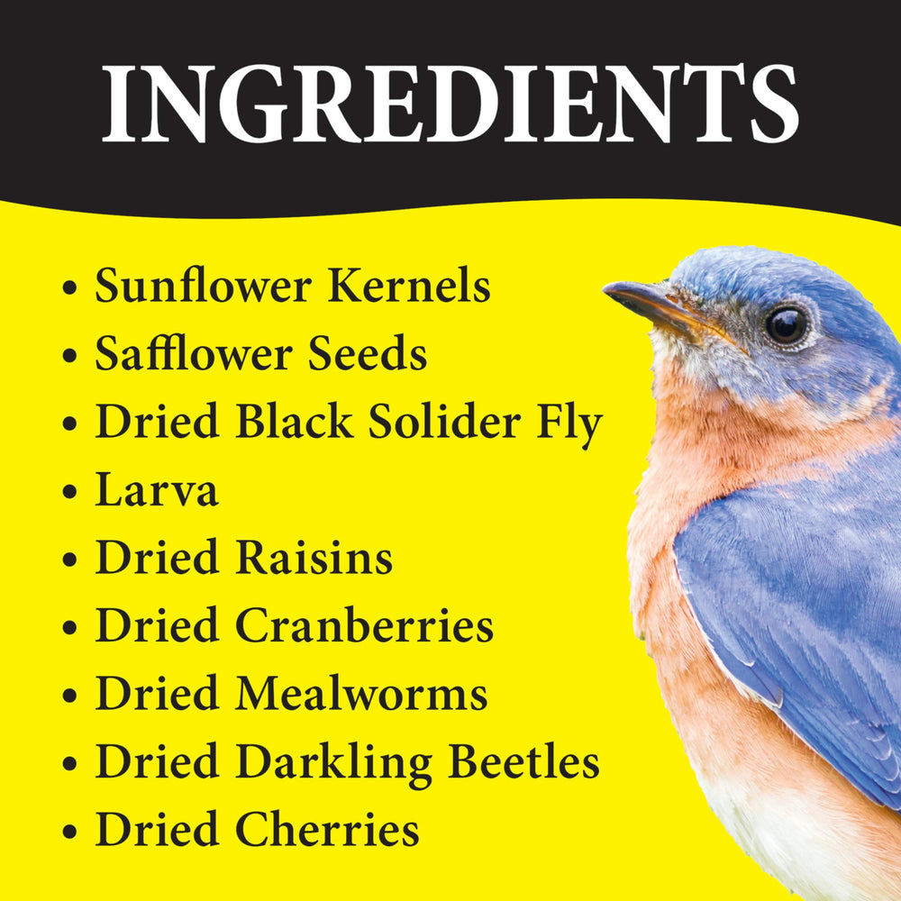 Wild Delight Bugs N Berries vers-de-farine-seches, protéines quotidiennes.