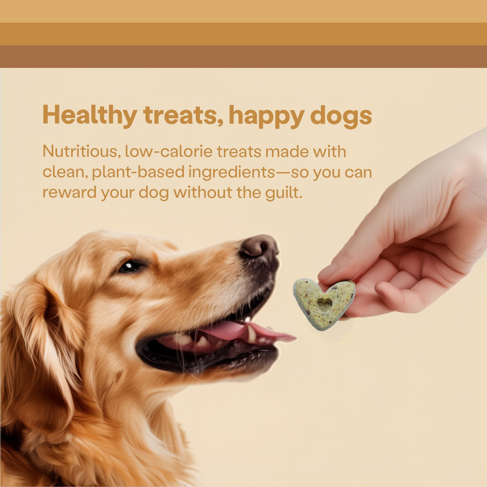 Galletas Wild Earth para perros con omega y prebióticos, sabor atractivo