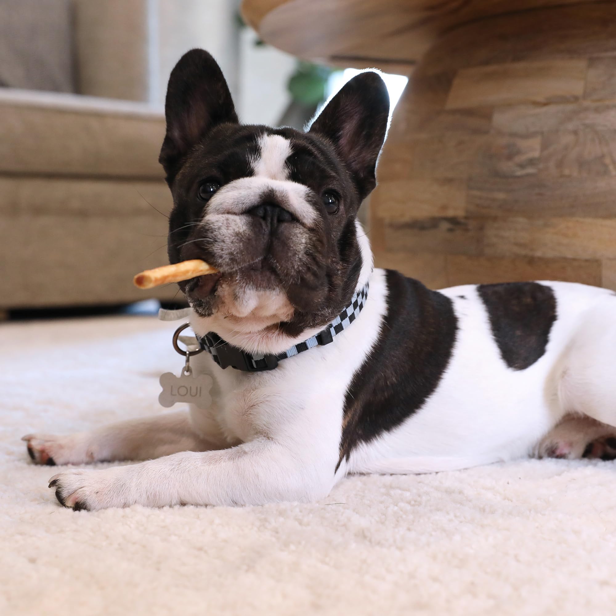 Wild Eats Collagen Salmon Sticks para perros, color natural y textura sedosa.