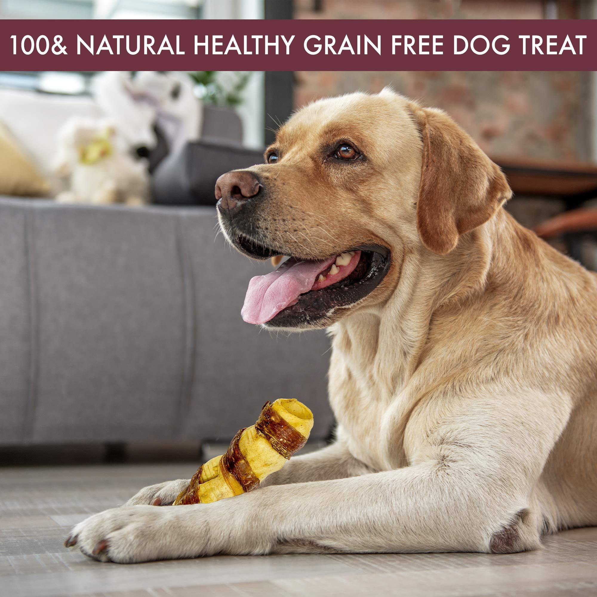 Wild Eats sin aditivos, ideal para perros que requieren snacks naturales.