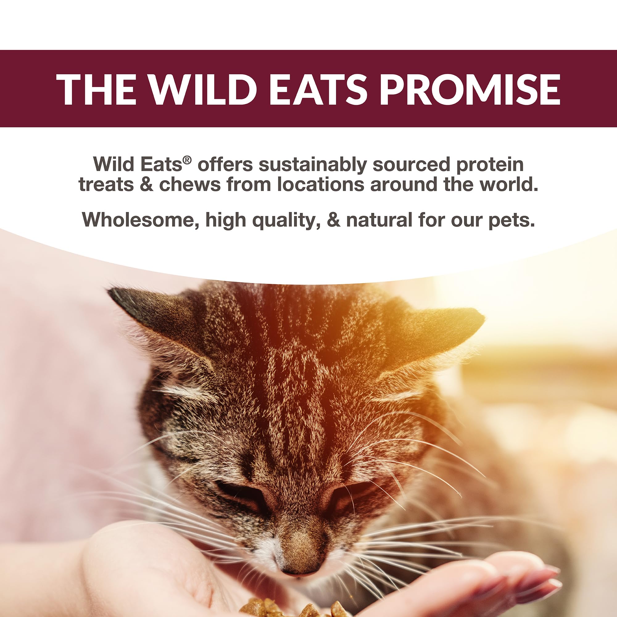 Wild Eats sabor exotico pescado lickable invita a probar nuevos sabores en casa
