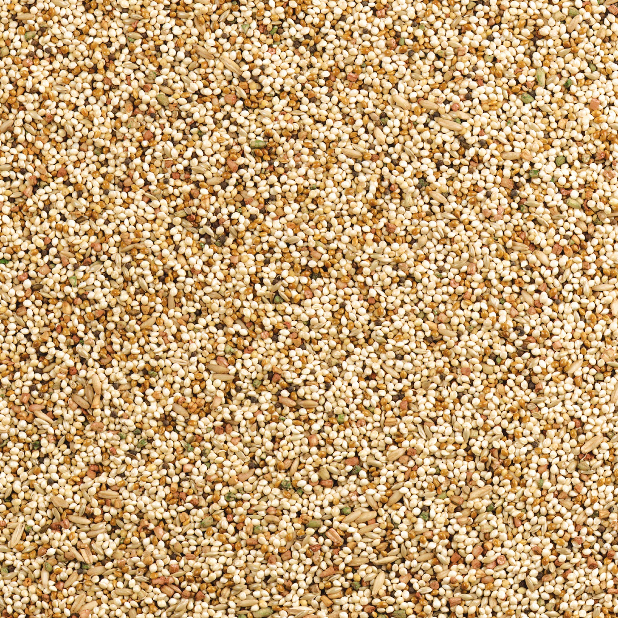 Wild Harvest bolsa sellada mantiene la frescura de la mezcla.