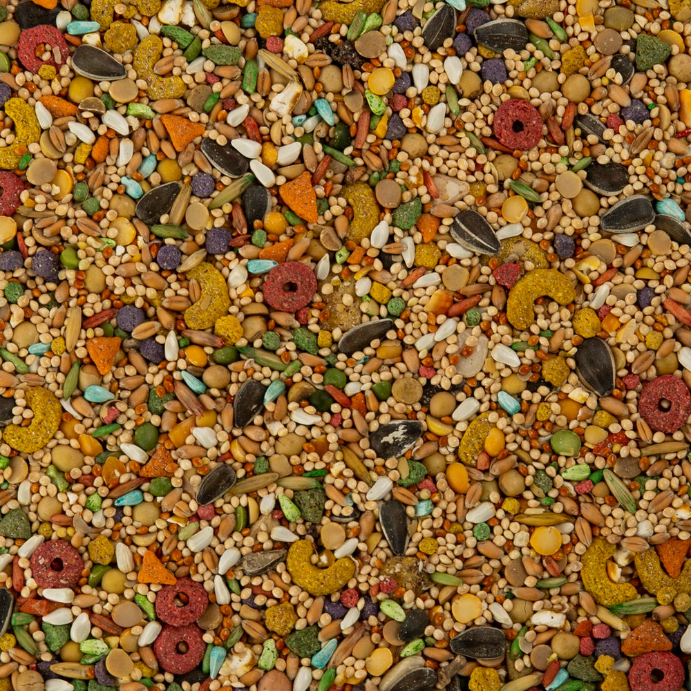 Wild Harvest cacatúas, omega-3 y vitaminas para piel saludable