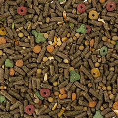 Wild Harvest conejo de indias comiendo pellets de alta fibra