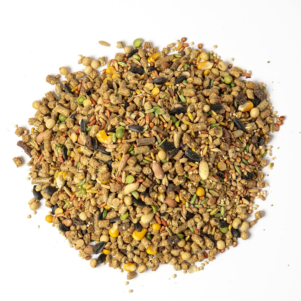Envase reutilizable de Wild Harvest que ayuda a conservar la frescura entre comidas.