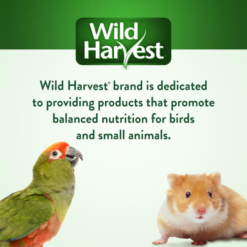 Wild Harvest sabor a fruta y textura atractiva estimulan la actividad oral.