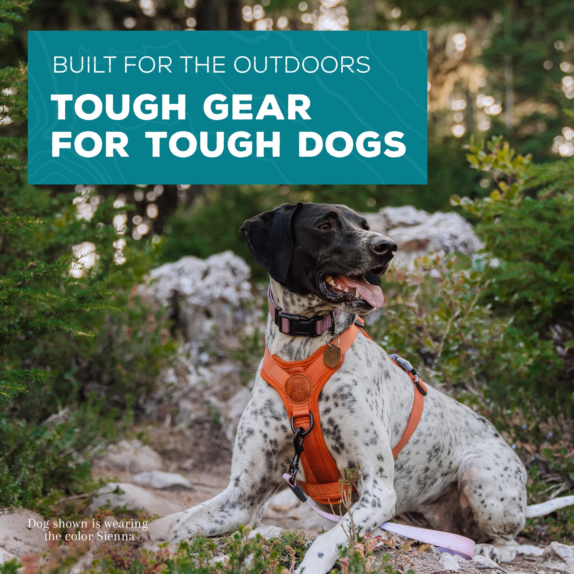 Wilderdog arnés ligero color Siena para uso diario al aire libre.