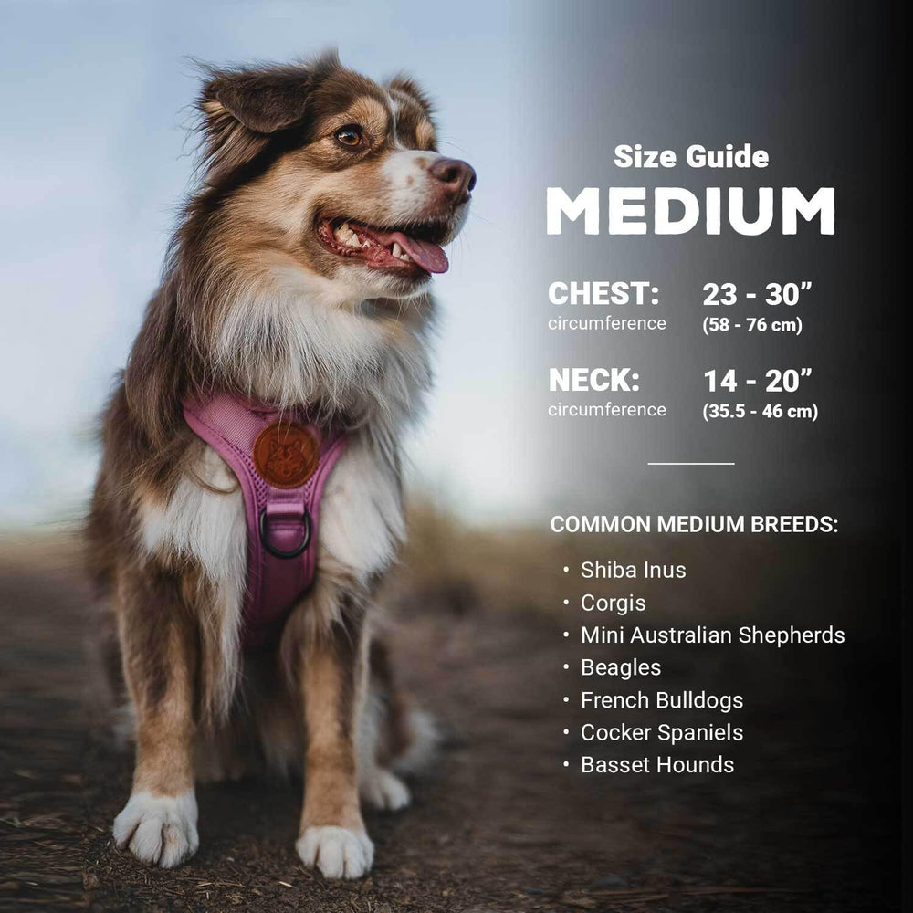Wilderdog arnés con asa superior para asistencia rápida y control cercano.