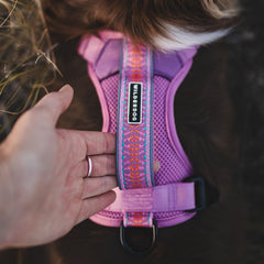 Arnés Wilderdog ligero en lila para caminatas largas y cómodas.