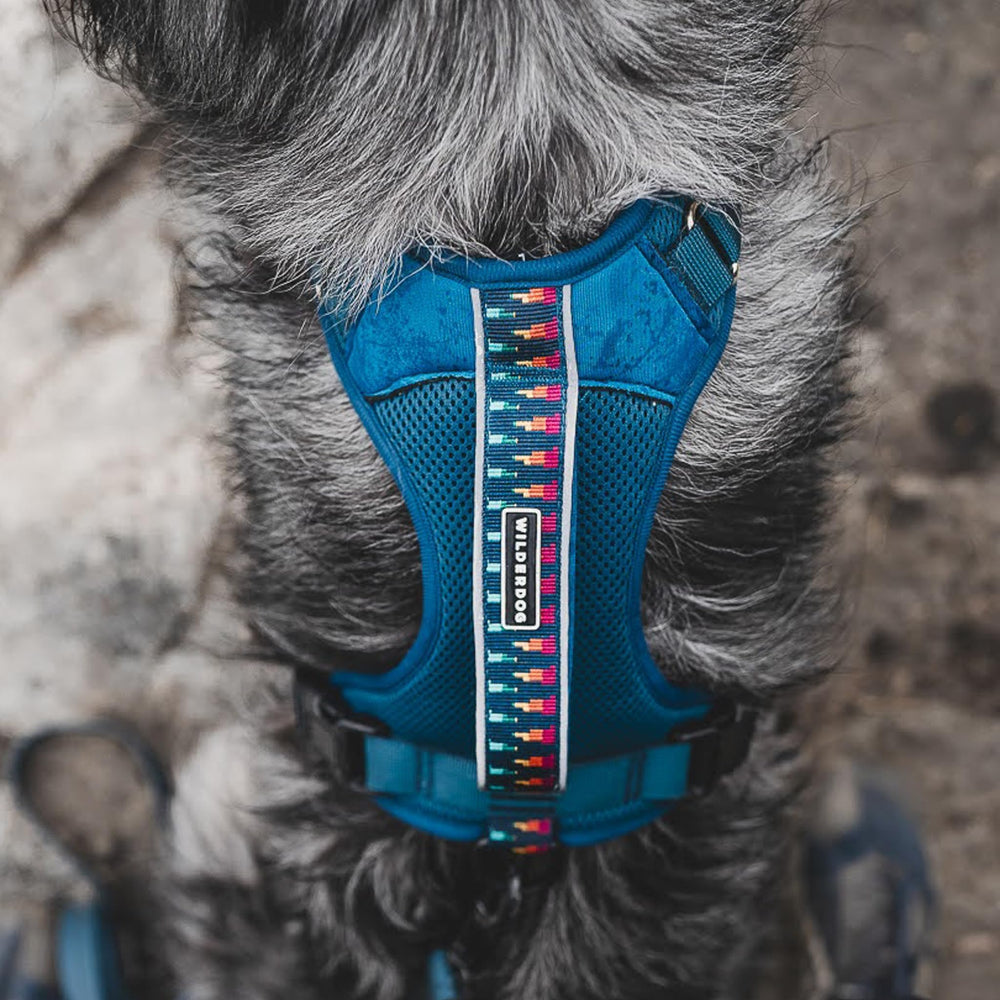Arnés Wilderdog con reflectores para mayor visibilidad nocturna.
