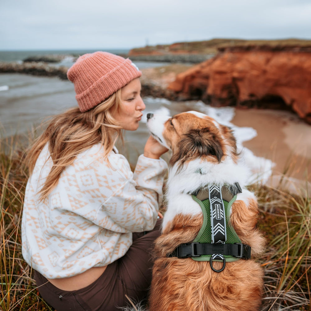 Arnés Wilderdog ligero con reflectantes en la espalda, aumenta visibilidad en salidas diarias