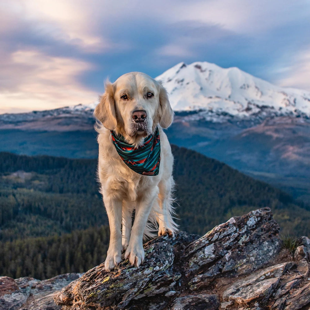Bandana Wilderdog con garantía por vida para tranquilidad.