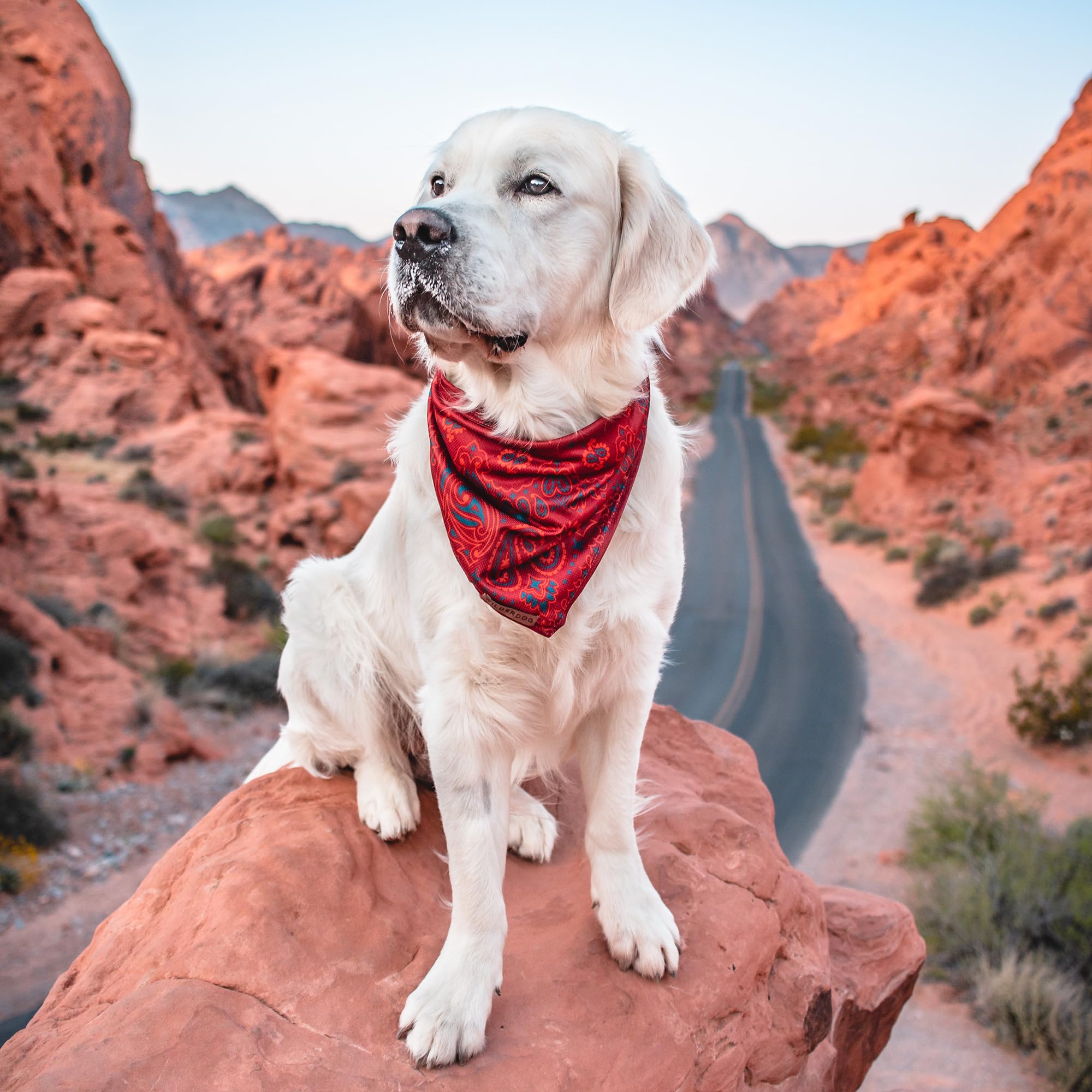 Wilderdog Bandana con garantía de por vida para uso continuo.