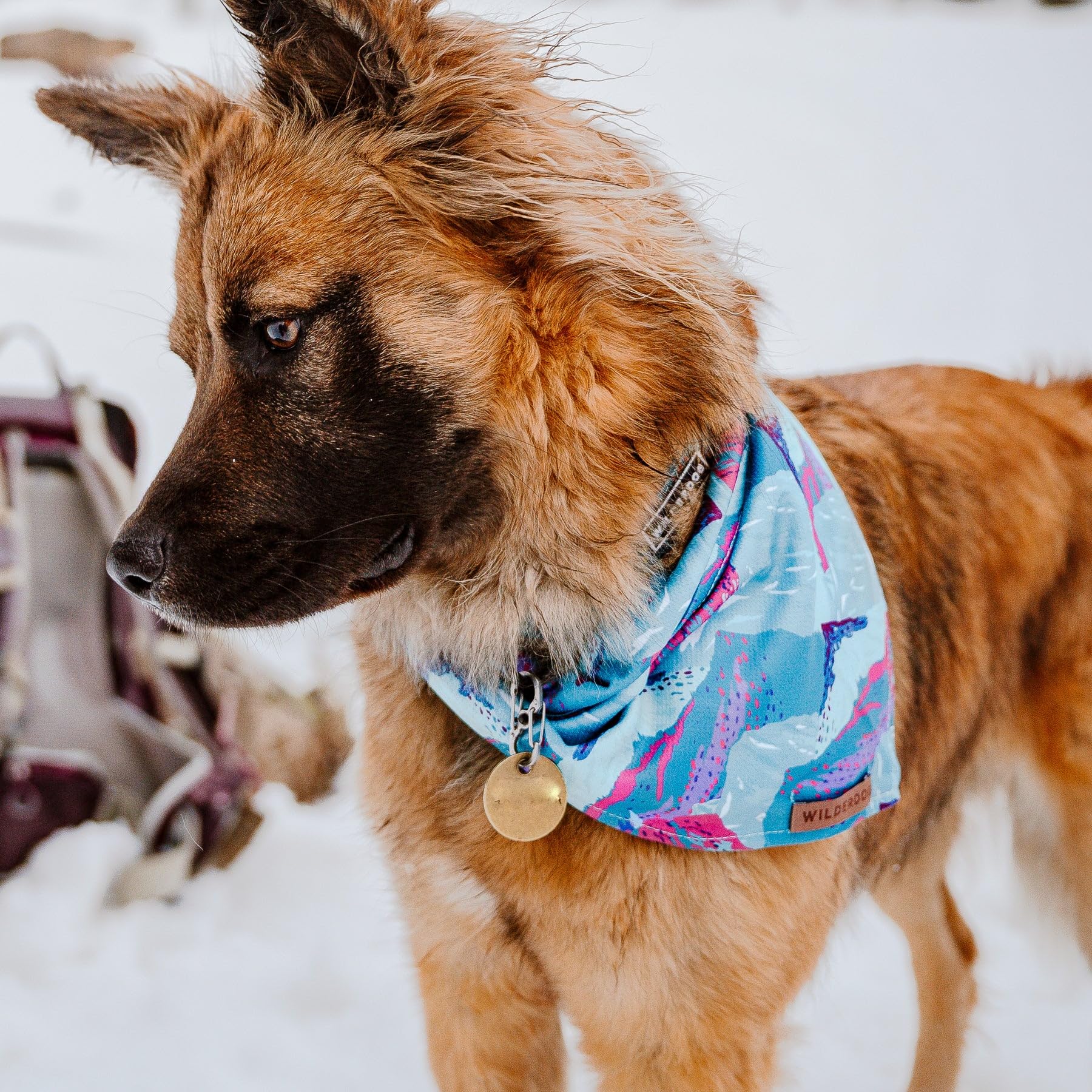 Suavidad del material Wilderdog en primer plano