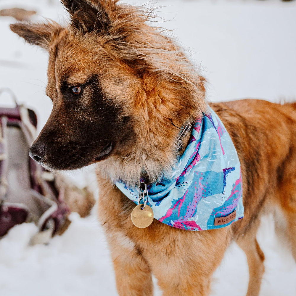 Suavidad del material Wilderdog en primer plano