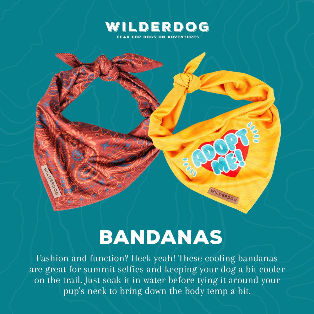 Bandana Wilderdog de secado rápido, ideal tras chapuzón o lluvia.