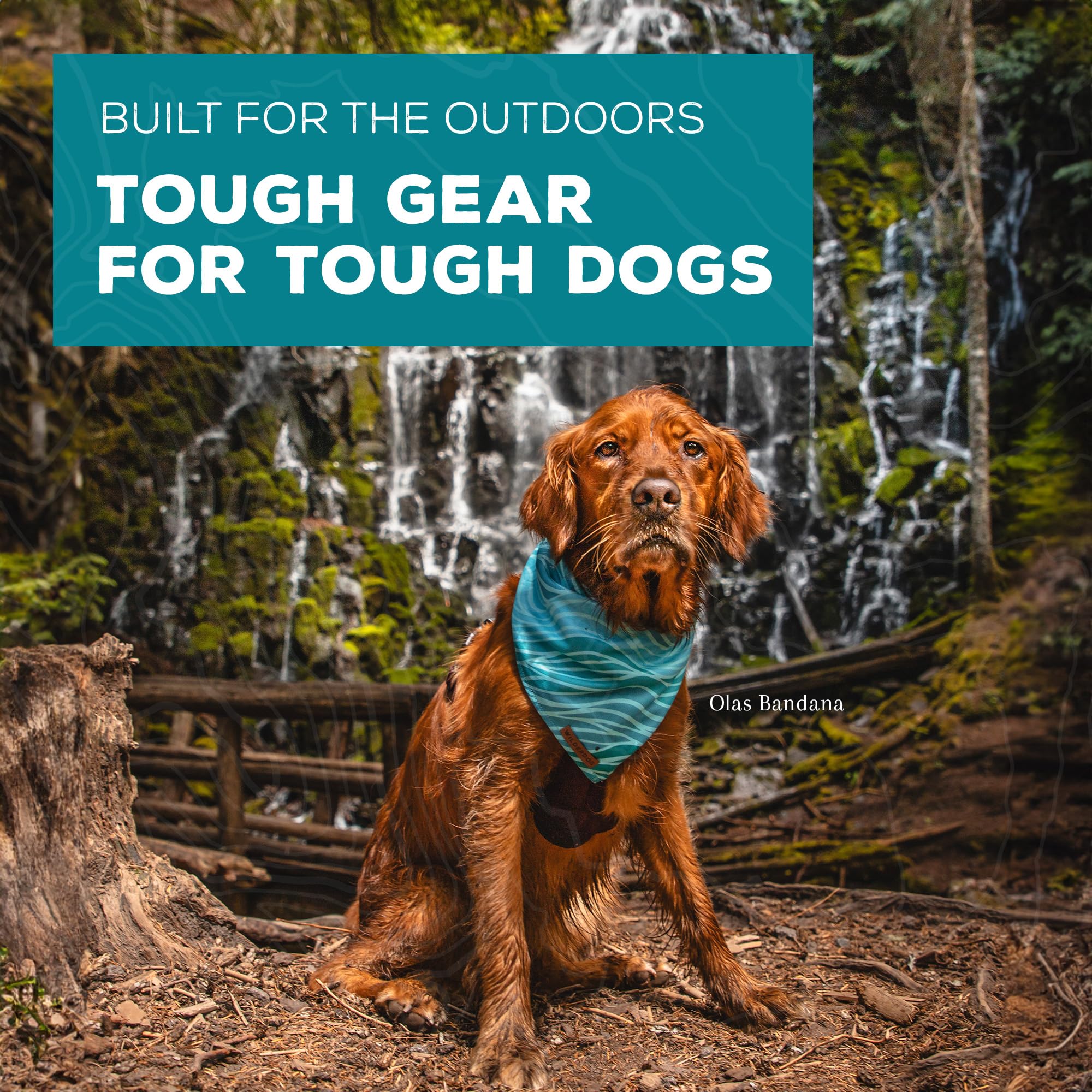 Wilderdog Bandana para entrenamiento, mantiene el pelo limpio durante juegos.