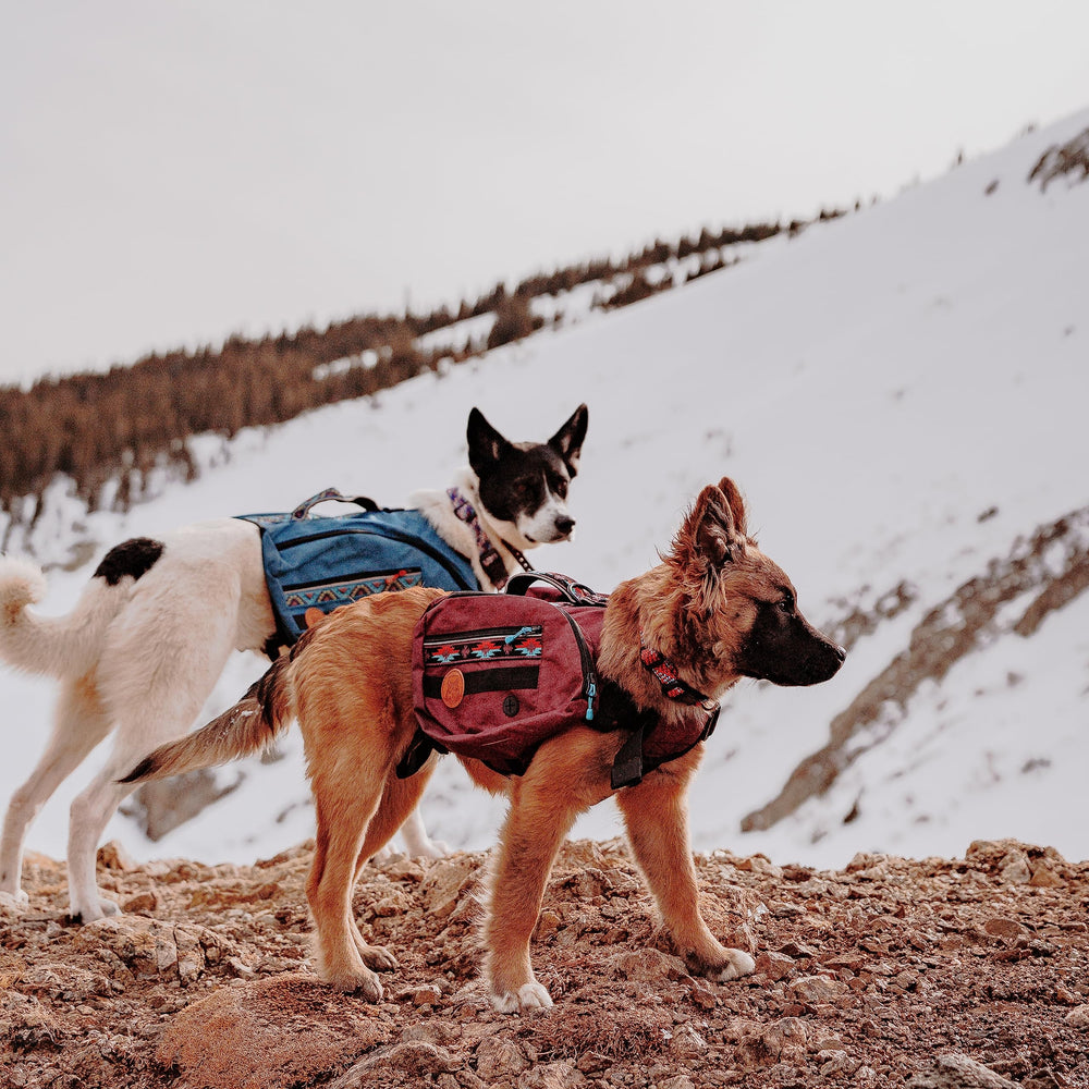 Bolsillo interior Wilderdog para llaves y objetos pequeños