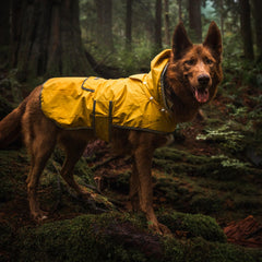 Wilderdog chaqueta con cierres de gancho y bucle resistentes para ajuste seguro.