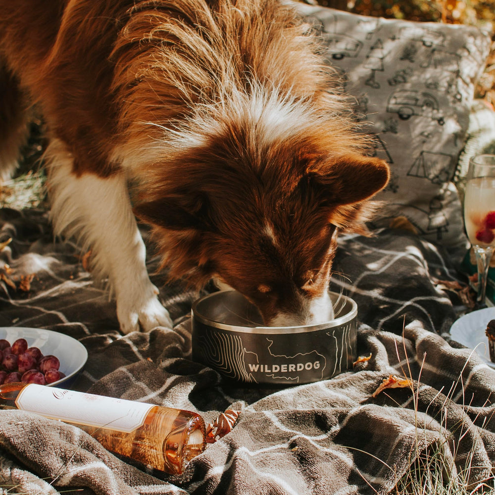 Estilo negro Wilderdog moderno que encaja en cualquier cocina.