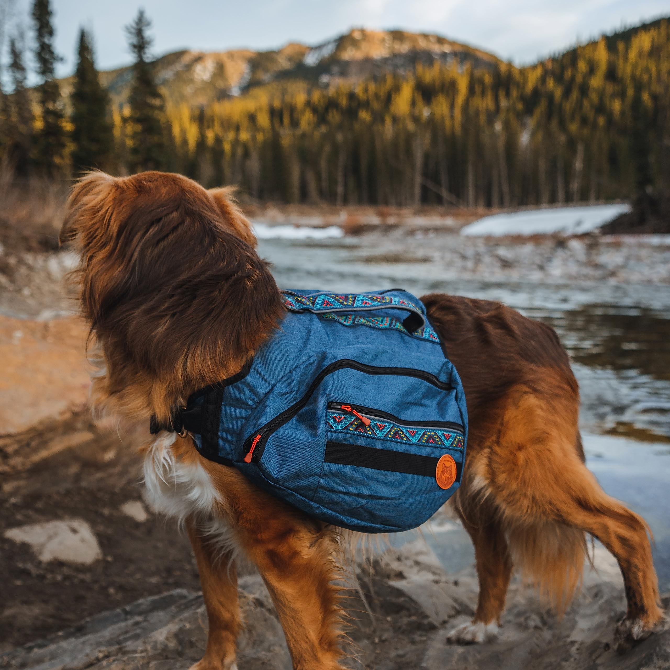 Puntos de sujeción en cintas de Wilderdog para accesorios