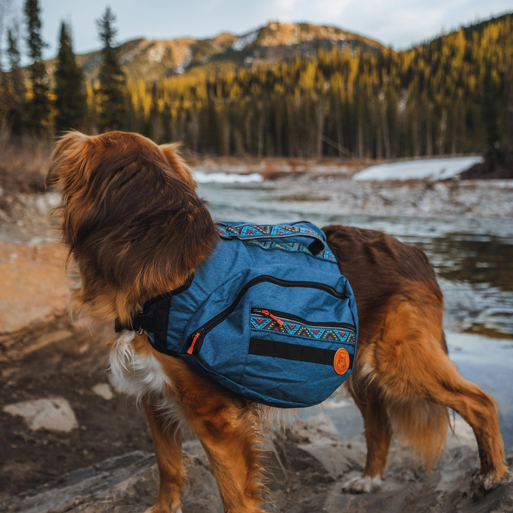 Puntos de sujeción en cintas de Wilderdog para accesorios