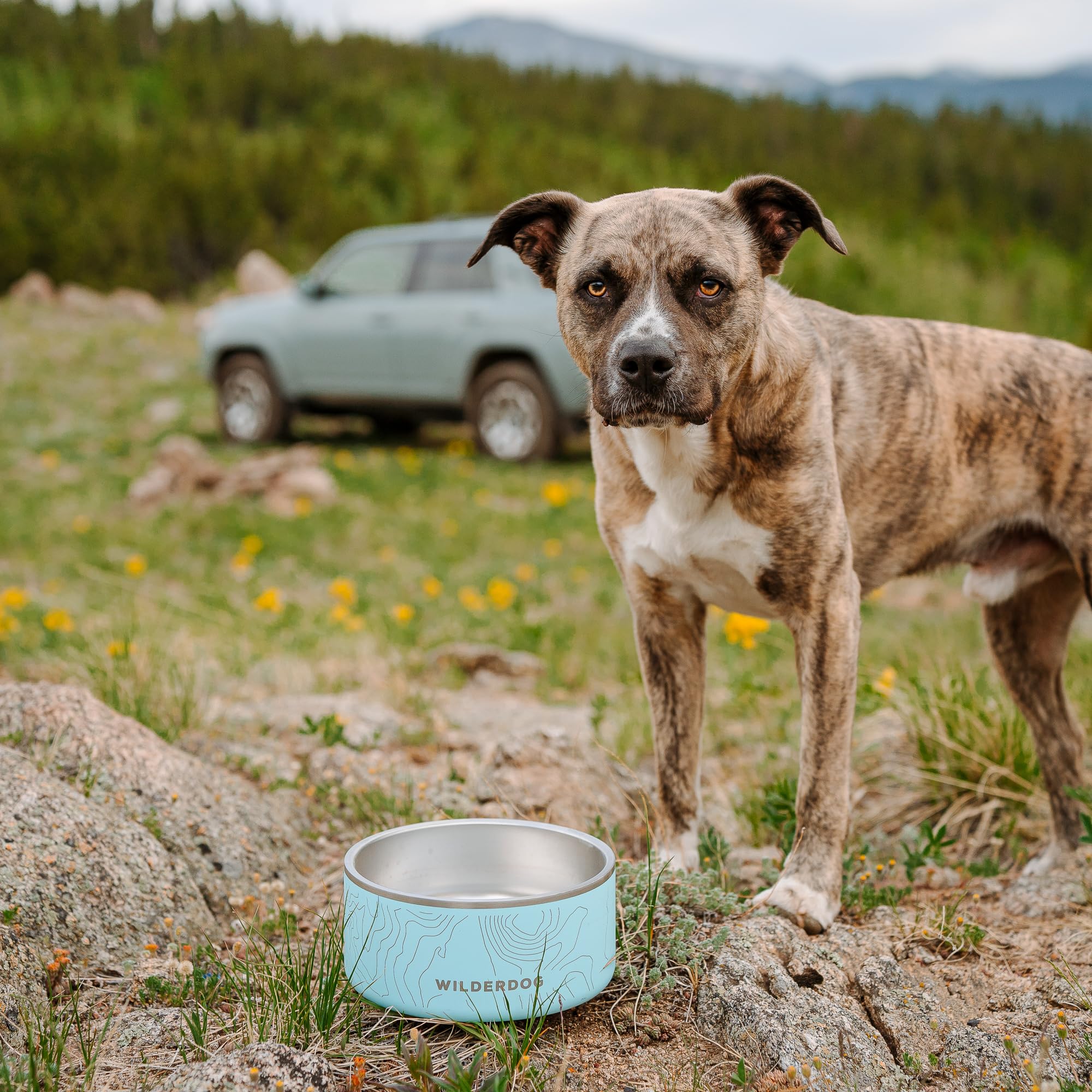 Wilderdog capacidad 32oz, ideal para perros grandes.