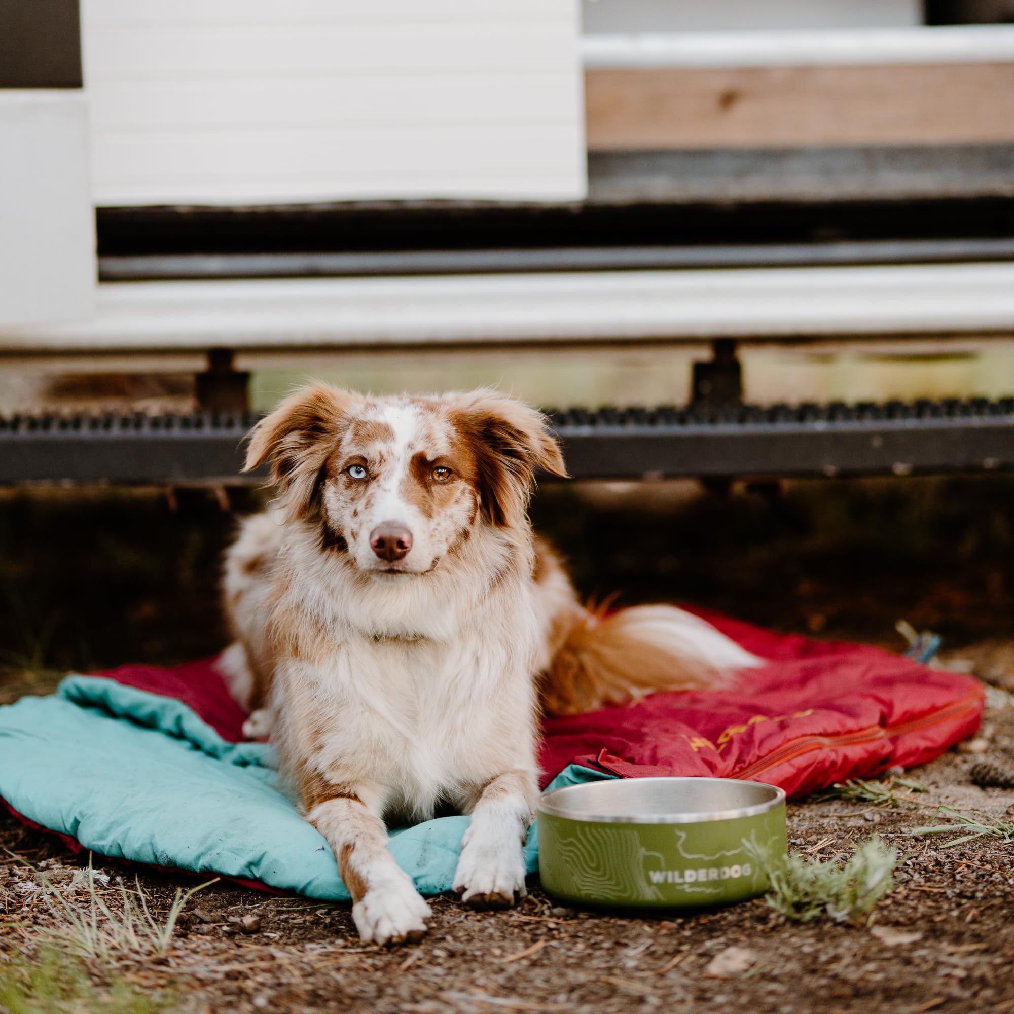 Uso diario Wilderdog para comidas y agua en casa o viaje.