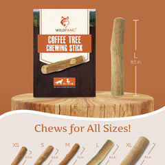 Wildfang dientes sanos con cafe-madera para perros grandes y agresivos