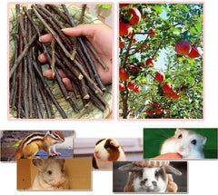 William Craft empaque de palitos de manzana, mantiene el producto fresco para roedores.