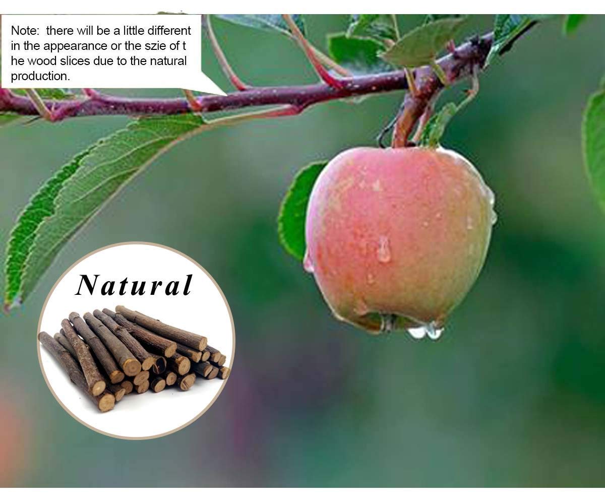 William Craft vitaminas-naturales-manzana aporta vitaminas para mascotas pequeñas