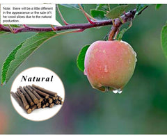 William Craft vitaminas-naturales-manzana aporta vitaminas para mascotas pequeñas
