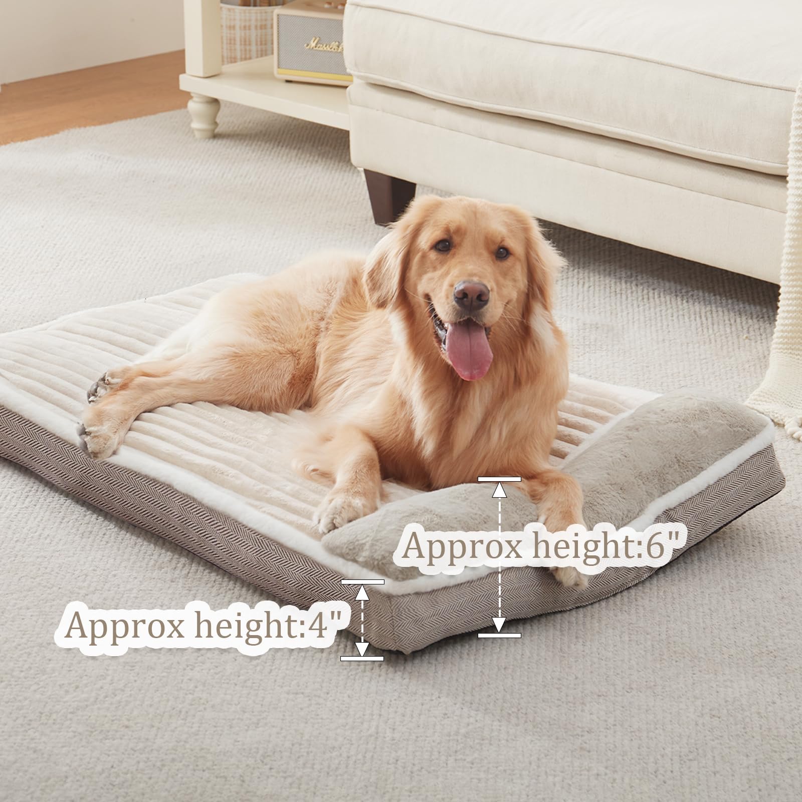 Cama WINDRACING dentro de jaula, ideal para uso en kennel.
