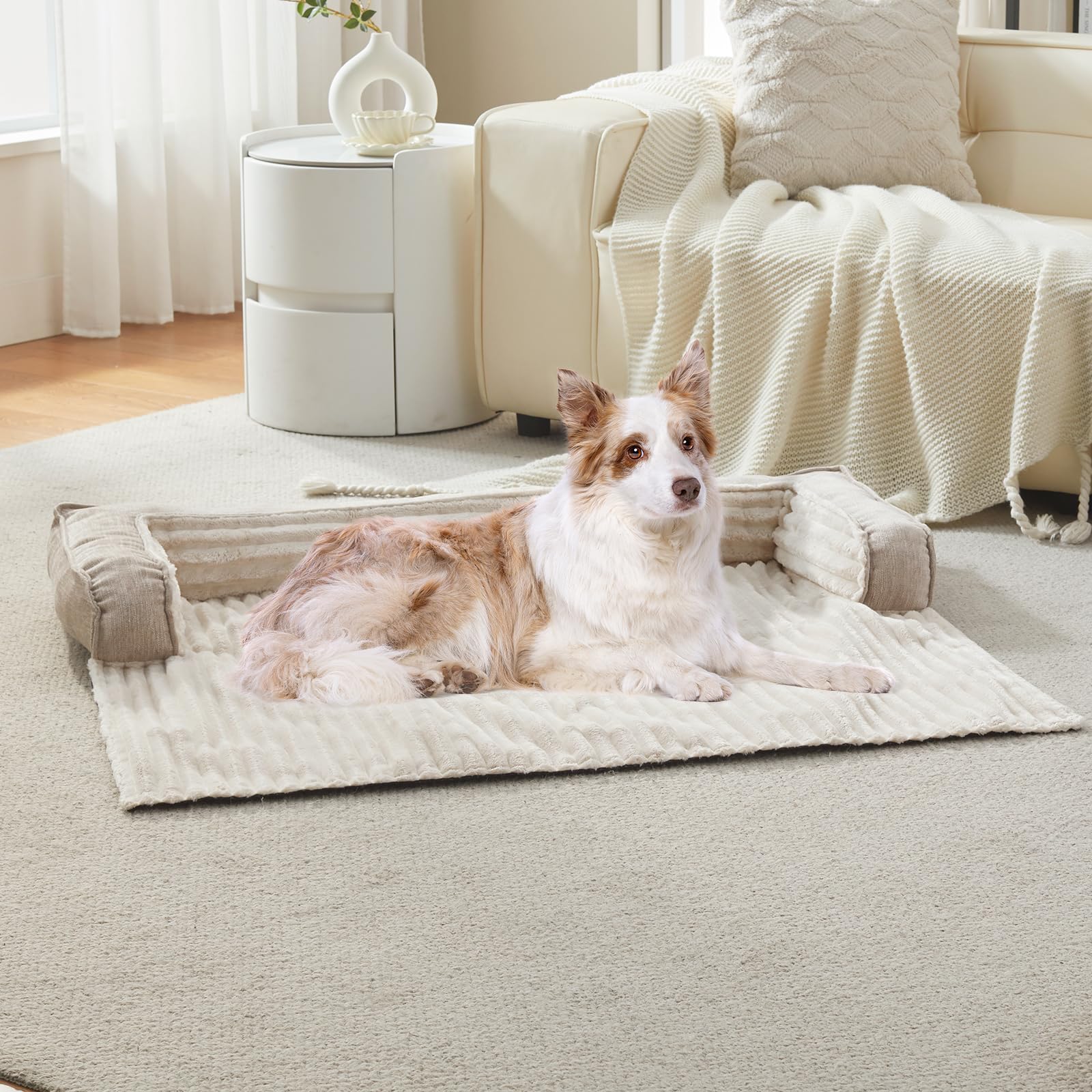 WindRACING Cama para Perro con espuma de confort y soporte.