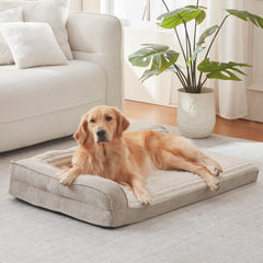 Cama ortopédica WINDRACING para perros grandes, vista frontal, soporte estable.