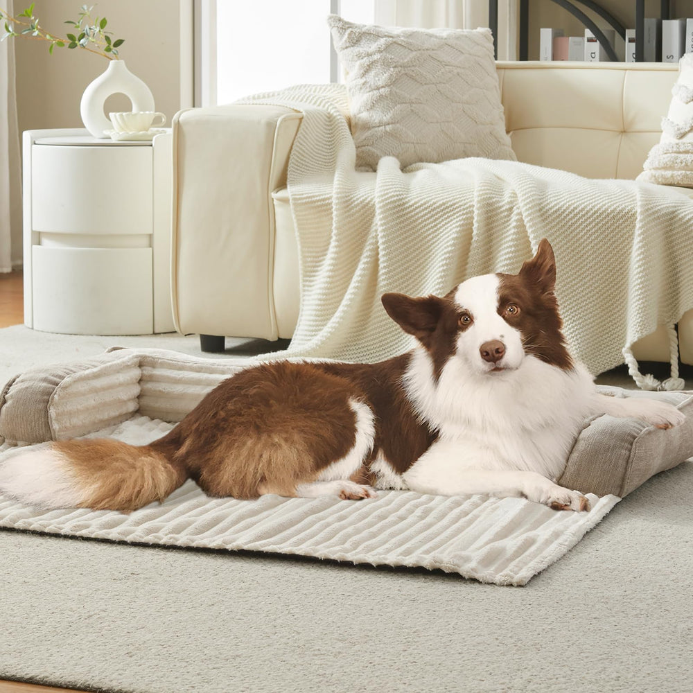 WindRACING cama-perro-sofa-lujo funda lavable facilita la limpieza tras juego.
