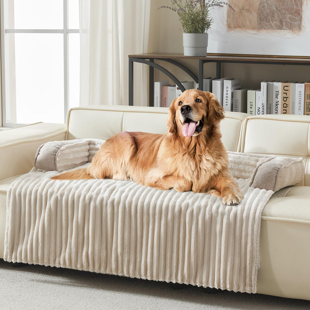WindRACING cama-perro-sofa-lujo vista lateral para descanso cómodo y estable.