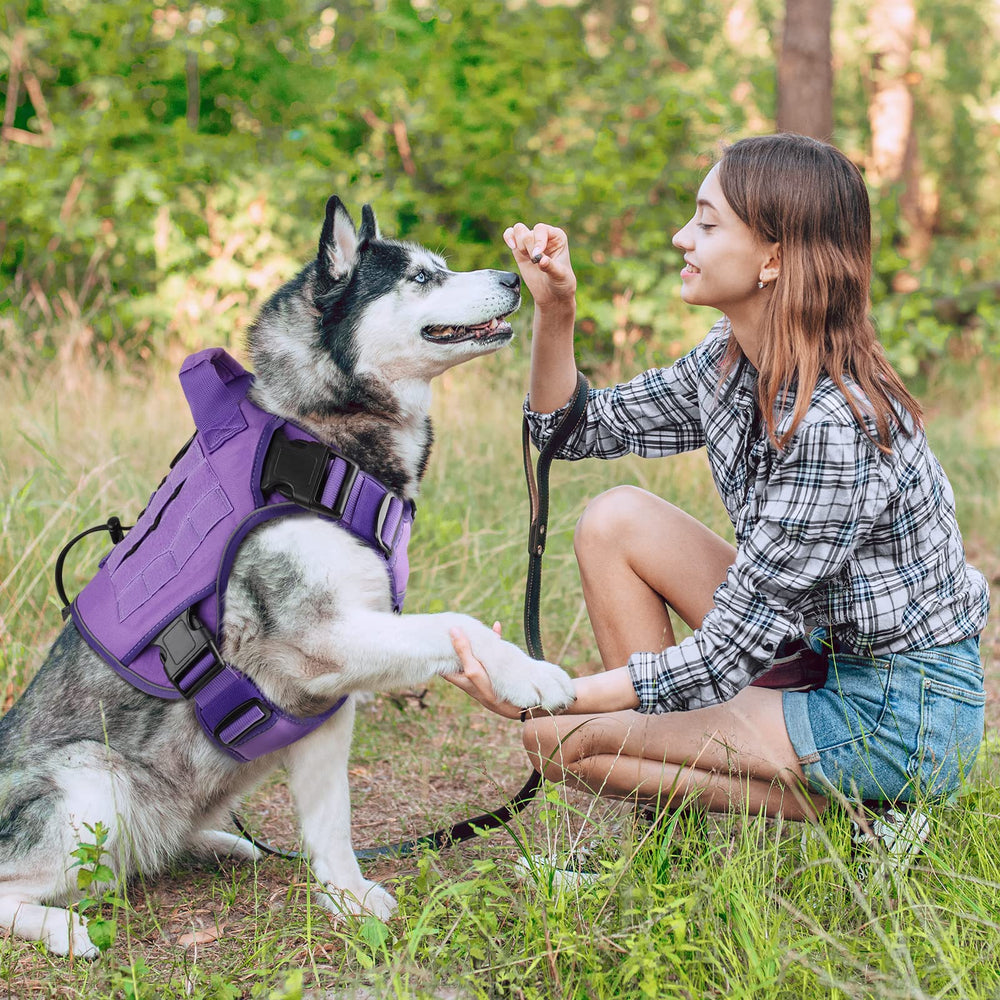WINGOIN arnés táctico de nylon 1000D, diseñado para durabilidad y uso diario