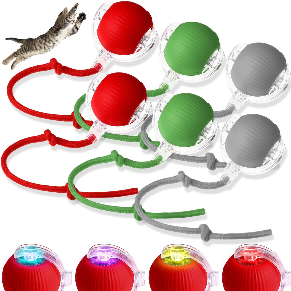 WinnerWhy bola-gato-interactiva-360: estímulo de juego activo dentro de casa