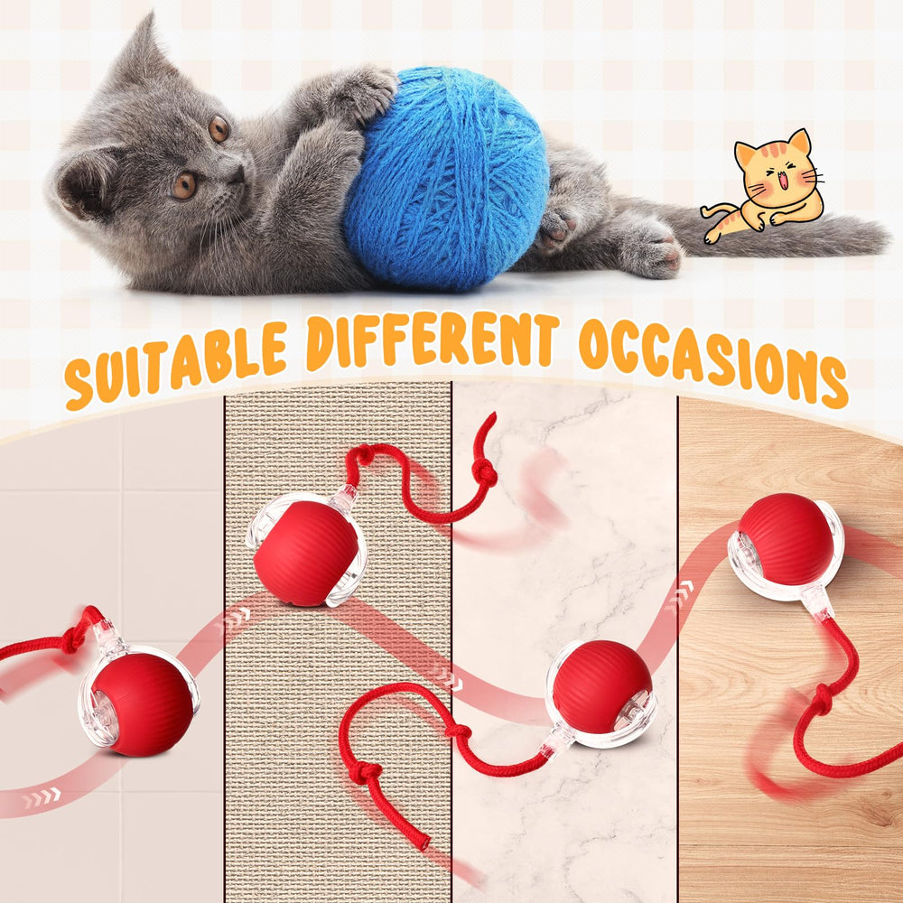WinnerWhy bola-gato-interactiva-sonidos-realistas: sonidos atractivos para gatos curiosos