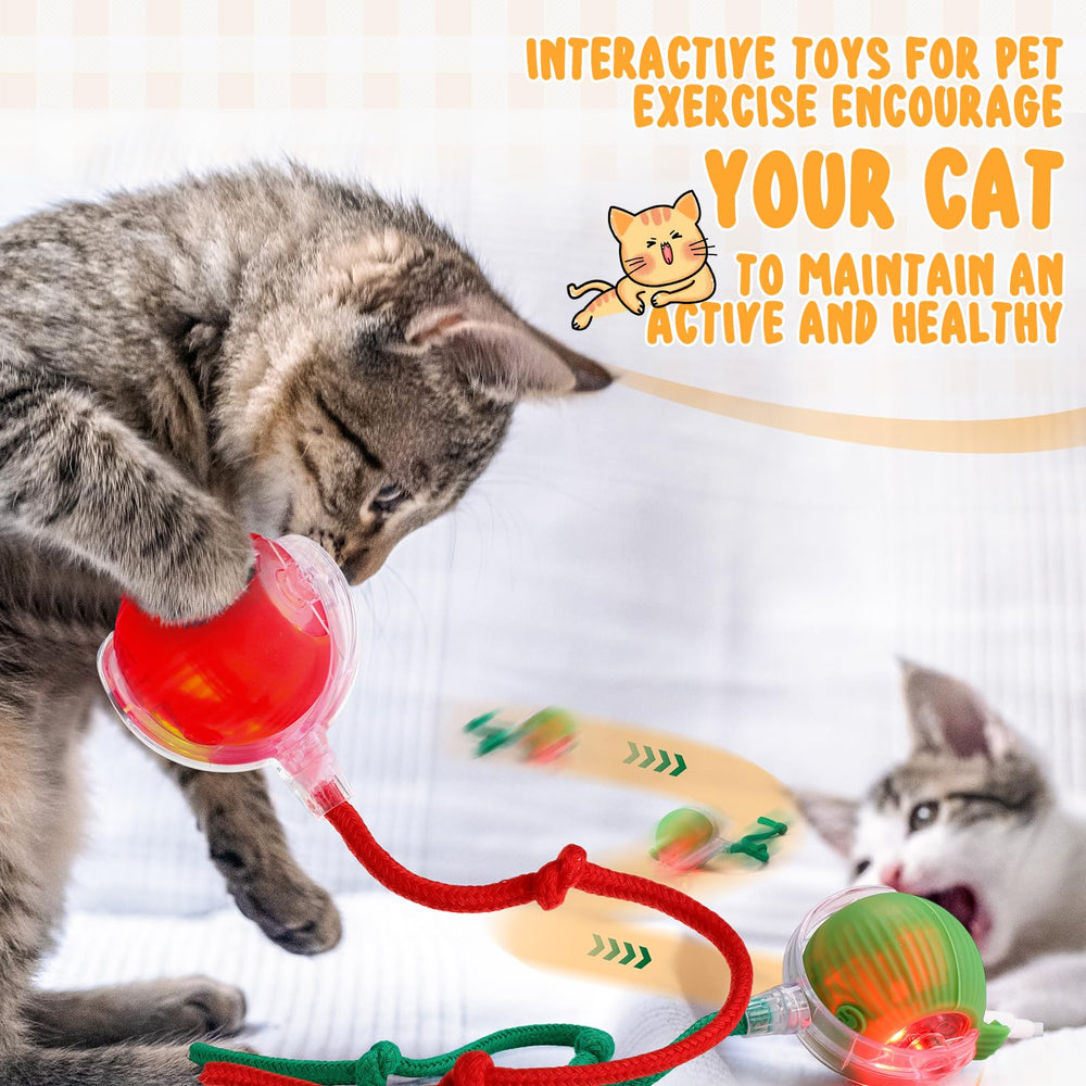 WinnerWhy bola-gato-interactiva-tres-modos: tres modos de juego para diferentes entornos