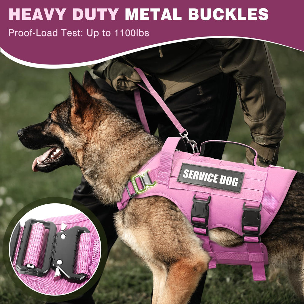 WINSEE parches para arnés, 10 piezas para personalizar y motivar al perro en entrenamiento