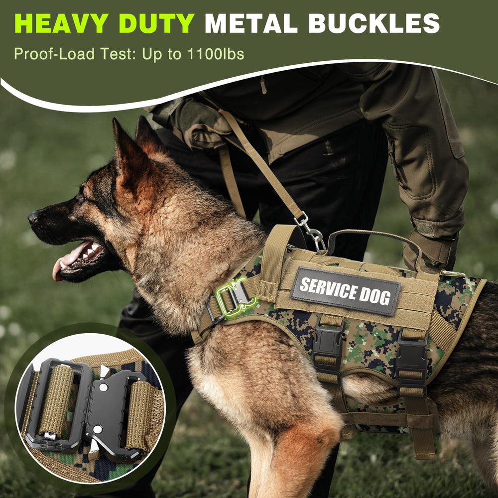 Parches identificativos WINSEE para personalizar al perro.