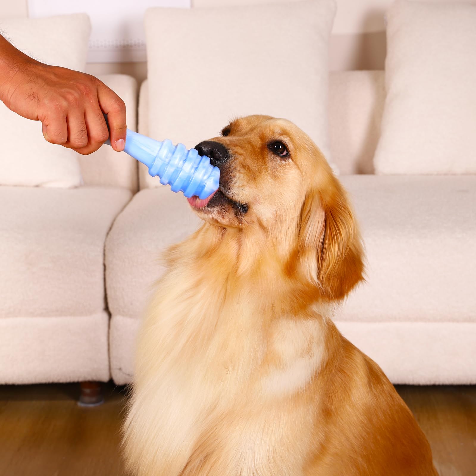 WinTour Juguete compañero azul, reconforta a perros solos en casa.