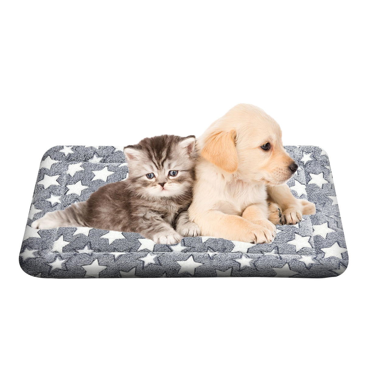 Wittop cama para perro lavable con sensación de nube para descanso cómodo