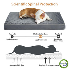 WNPETHOME espuma huevo de alta densidad para soporte estable.