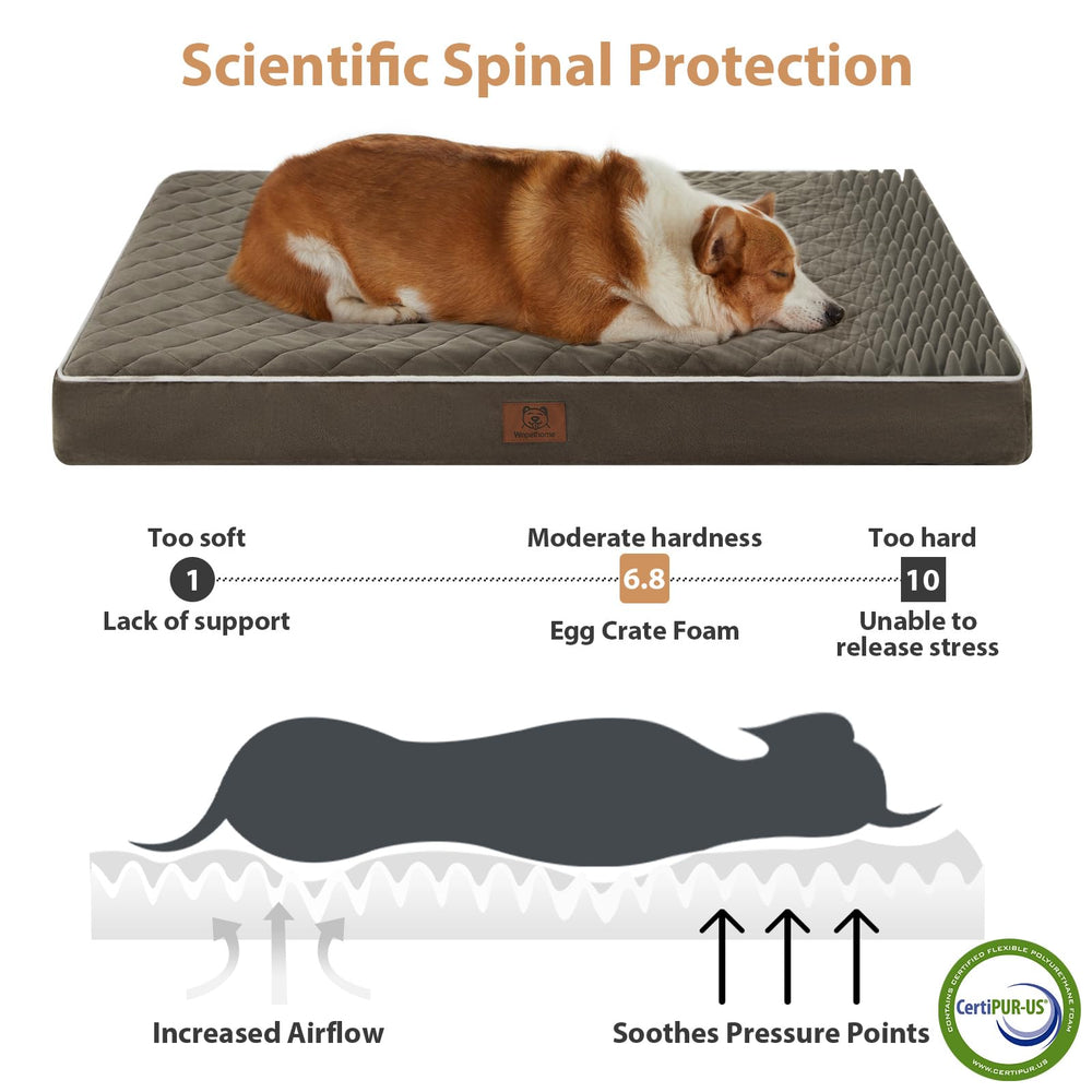 WNPETHOME cama ortopédica XL con espuma tipo huevo para distribución de peso.
