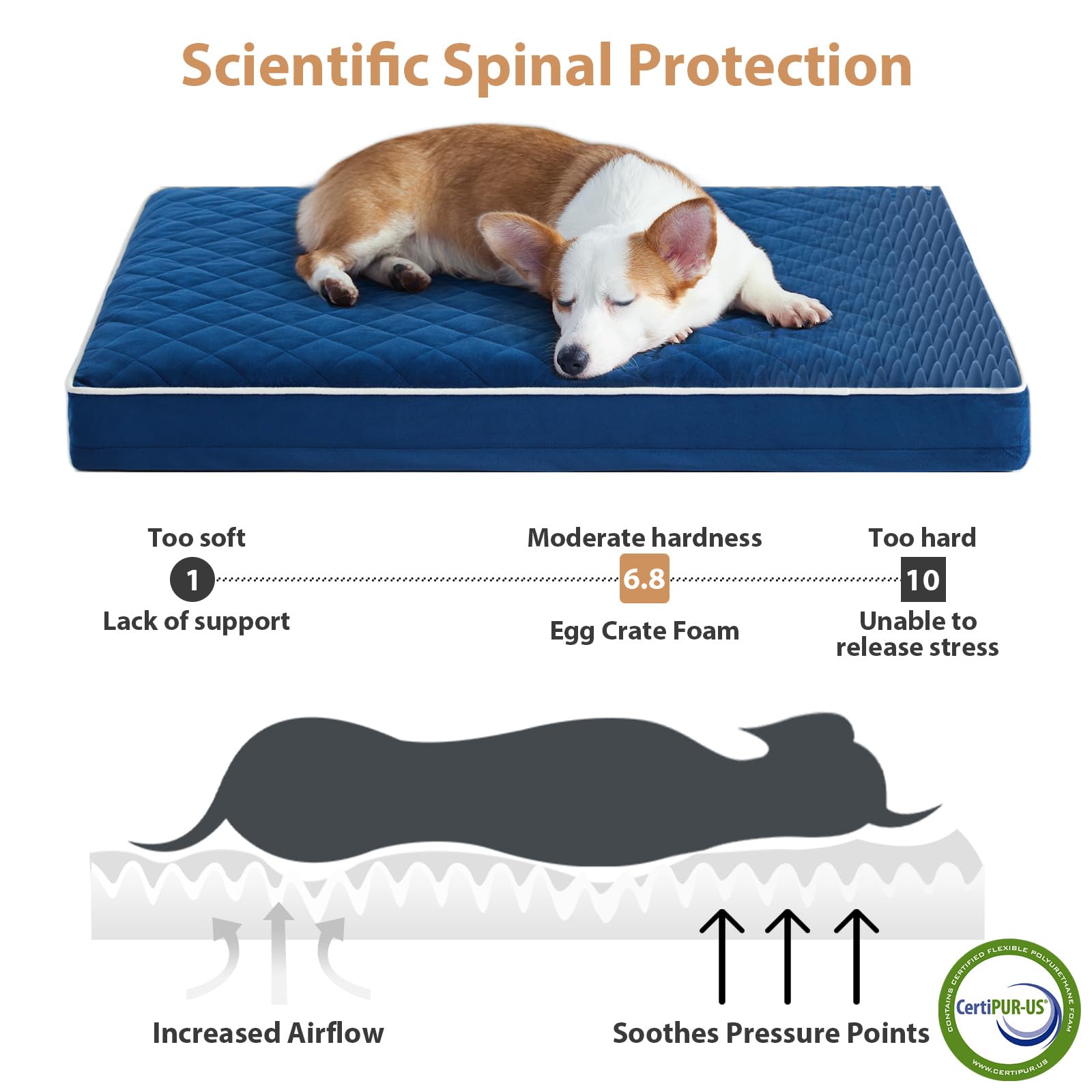 Espuma de alta densidad en cama WNPETHOME ofrece soporte equilibrado